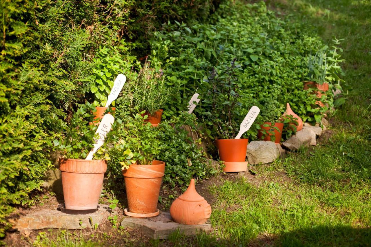 Trela Bed & Breakfast Muszyna